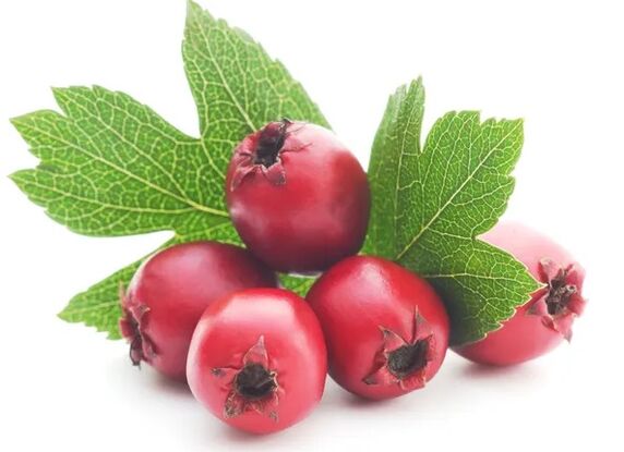 Cardiol contains hawthorn berry extract